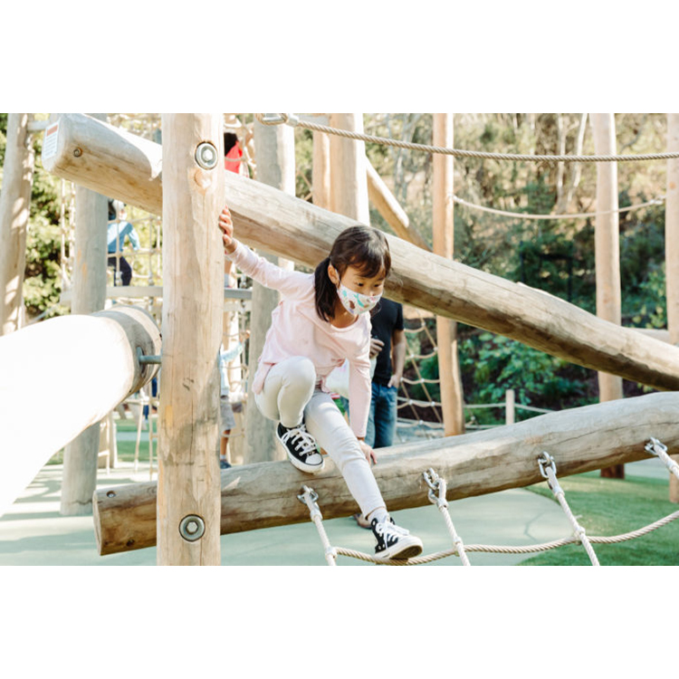 Kinderspielplatz Outdoor-Spiel – Kids Outdoor Climbing Frame Bewertung und Preis